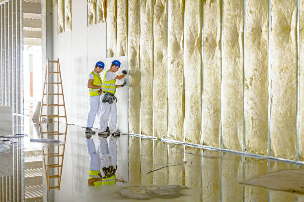 Best Insulation Maintenance and Repair in Anderson, IN